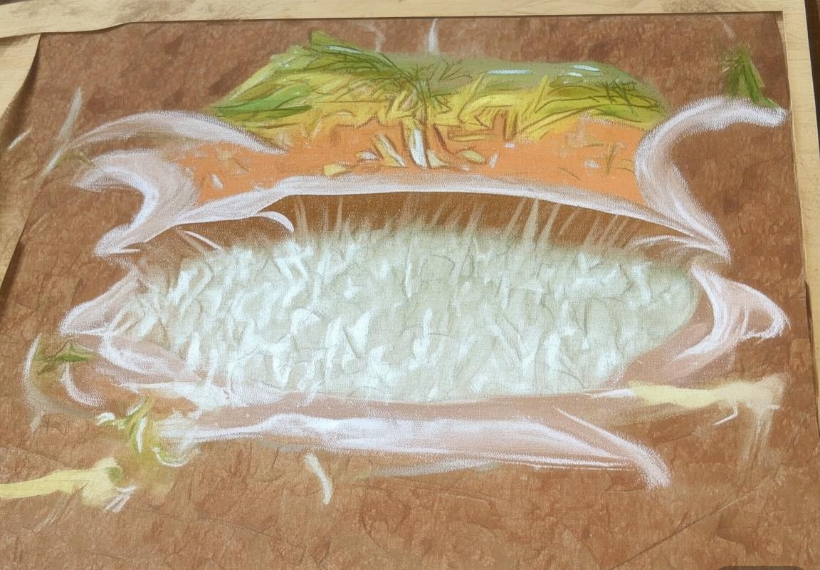 恩德里克：巴西足球新星崛起之路(图2)