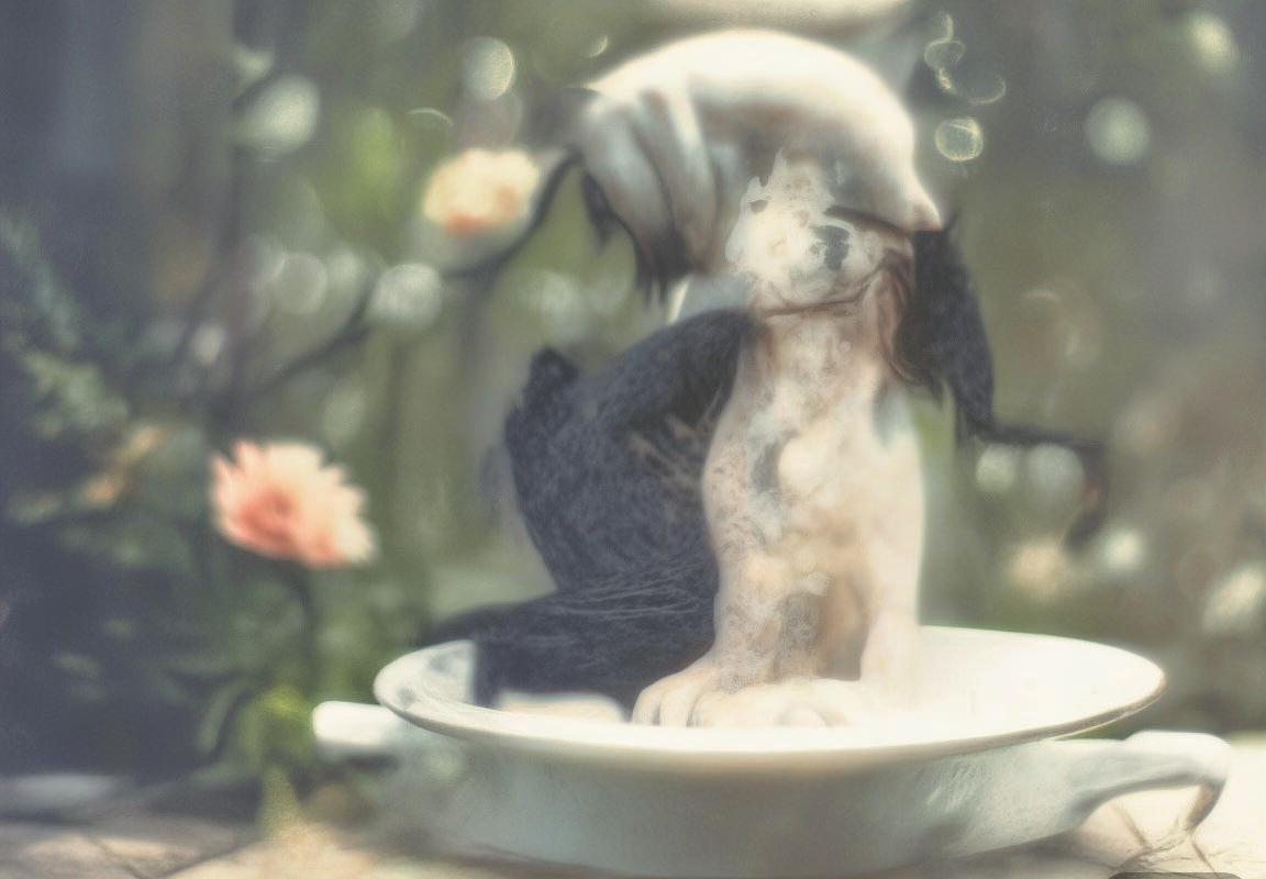 佛山龙狮对决奇才：战术博弈、个人风采与团队精神的篮球盛宴(图3)